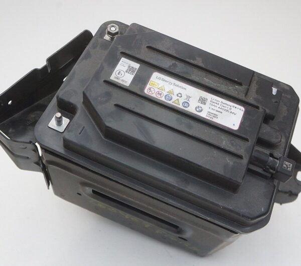 Lithium Ion Li-ion 48v Battery OEM 61215A38DE3 61215A48C60 Bmw X7 G07 2022